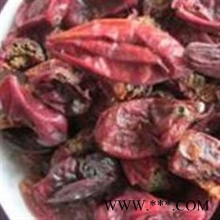 吉康药业东北赤瓟 赤包子 山土豆  气包  山屎瓜 赤雹 敖鲁毛斯 赤瓟图2