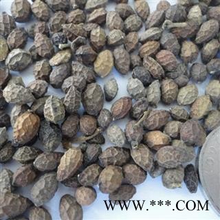 鸦胆子 鸦胆子选货 产地 福建省图2