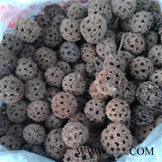 路路通 2021 枫实,枫果,枫木上球,枫香果,枫莍子,九空子,狼目,狼眼,枫树球图3