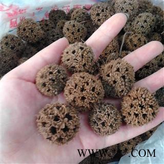 路路通 2021 枫实,枫果,枫木上球,枫香果,枫莍子,九空子,狼目,狼眼,枫树球图2