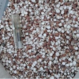 芡实 凉拌开大粒子 产地 广东省图2