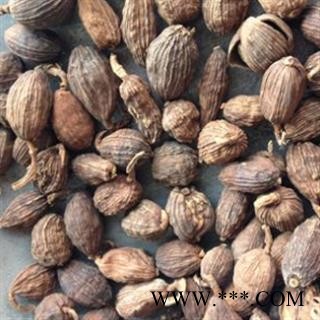 草果 草果选货 产地 广西壮族自治区图3