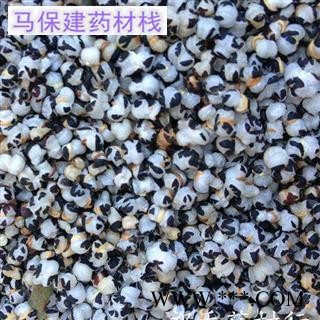 王不留行 超王不留行 河北王不留行统货 产地 河北省图2