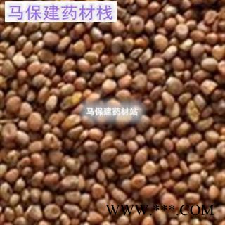 莱菔子 生莱菔子统货 产地 广西图2