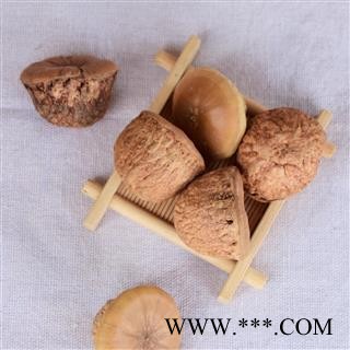 风流果 厚鳞柯 壮阳果 补肾果 益肾子 马牯 捻碇果 辗垫栗 厚鳞石栎 木栎子 大头椎图2