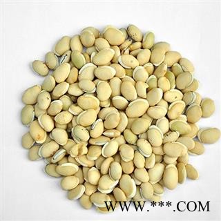 白扁豆 云南进口白扁豆选货 产地 海外 华美中药 产地直销 重在品质图2