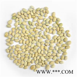 白扁豆 云南进口白扁豆选货 产地 海外 华美中药 产地直销 重在品质图3