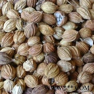 小丽百草行 香砂  手选 非砂仁药图2