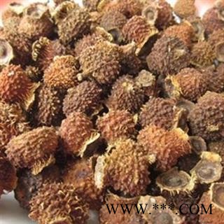 吉康药业刺梨  山王果 佛朗果 茨梨 木梨子 刺菠萝 送春归 刺酸梨子 九头鸟 文先果图2