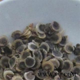 吉康药业 蜀葵子 蜀葵籽 蜀季花子 熟季花籽图2
