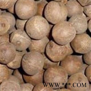 海椰皇 海耶果  复椰子 非洲海椰皇图2