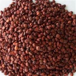 吉康药业枣仁 理枣仁酸枣仁 选货图2