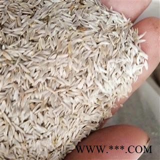 巨胜  白巨胜子 生菜子 莴苣子 莴苣籽 选货 产地 安徽省图2