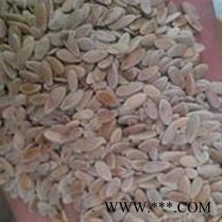 甜瓜子 精品甜瓜子 产地 山东省图2