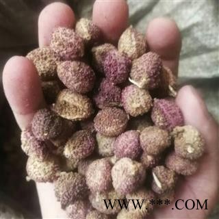 砂仁 阳春壳砂仁炕干统货 产地 广东省图2