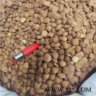 杏仁 苦杏仁统货 产地 河北省图4