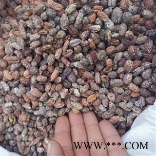 砂仁 砂仁红米选装 产地 海外图2