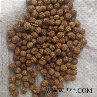 小丽百草行梧桐子新货梧桐籽 梧桐子 瓢儿果、桐麻豌 颗粒饱满成熟度好产地直销图2