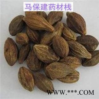 诃子 诃子统个 产地 海外图2