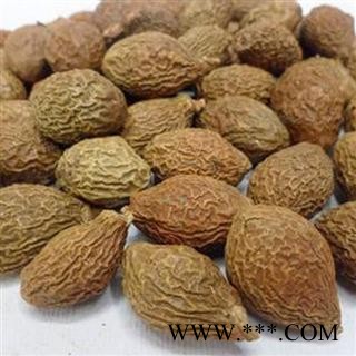 胖大海 胖大海精选泡茶1000克促销批发价 产地 海外 大货批发价图2