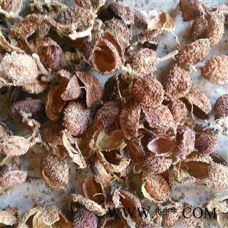 砂仁 阳春砂砂仁壳 产地 广东省图2