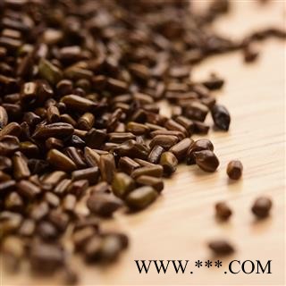 决明子茶泡茶炒决明子 草决明子图3