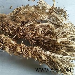 小丽百草行 糠谷老 看谷老 老谷穗 粟白发 老枪谷 谷子白发 促销图1