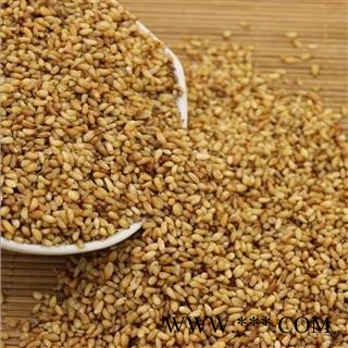 柏子仁 柏子仁精选货 产地 山东省 华美中药 产地直销 重在品质图2