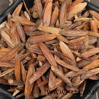 吉康药业喜树果 千丈树 水栗子 天梓树图2