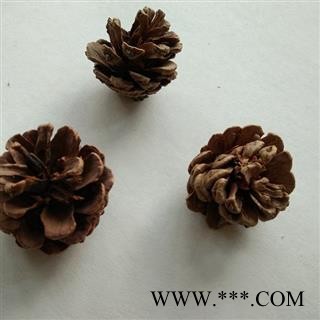 吉康药业白松塔 松塔 松子 松球 松果 松  生晒货图2