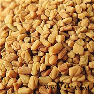 葫芦巴 进口芦巴子上色选机选货净货 价钱低颜色好 重在品质吉康药业图2