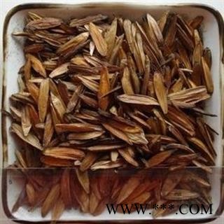 瑞森药材行喜树果  千丈树 水栗子 天梓树图2