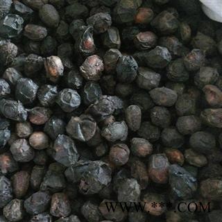 广枣 五眼子 五眼果 五眼六通 统 产地 海南省 批发各种冷背中草药个子图2