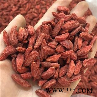 枸杞  宁夏回族自治区中卫市中宁县图3