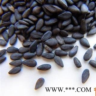 黑芝麻 选货 产地 山东省图3