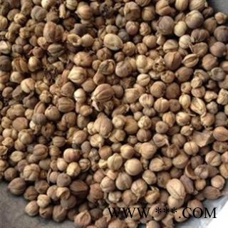 白豆蔻 白豆蔻选货 产地 广西壮族自治区图3