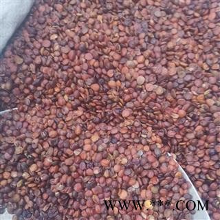 酸枣仁 枣仁进口统货 产地 海外图2