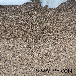 菟丝子 统货 产地 内蒙古自治区图2