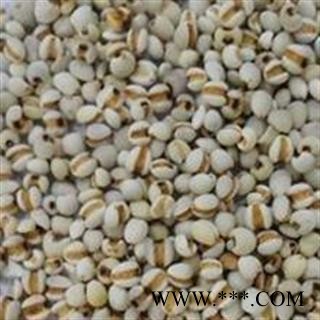 小丽百草行 薏米 小薏米 手选 食药两用 98货薏苡仁 米仁 六谷 川谷图2