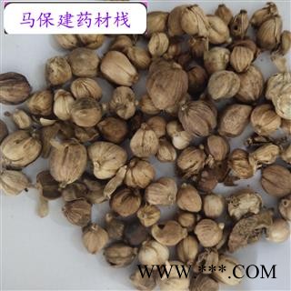 白豆蔻 白豆蔻选货 产地 广西壮族自治区图2