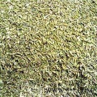 小茴香 小茴香净货选大货批发价 产地 广西壮族自治区图2