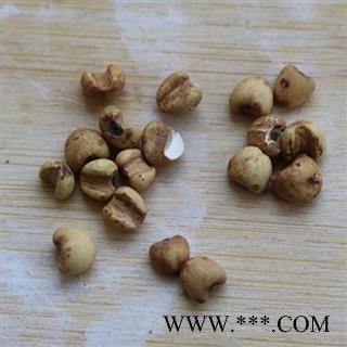 炒薏仁 炒薏苡仁95米 产地 海外 华美中药 产地直销 重在品质图3
