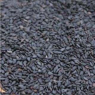 黑芝麻 选货 产地 河南省 华美中药 产地直销 重在品质图3