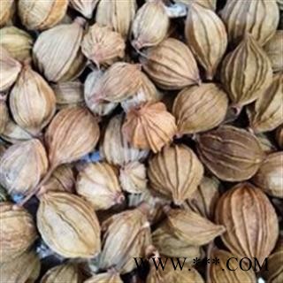 香砂 香砂 产地直销新货香砂，货干净足干，实物拍摄 产地 广西壮族自治区图2