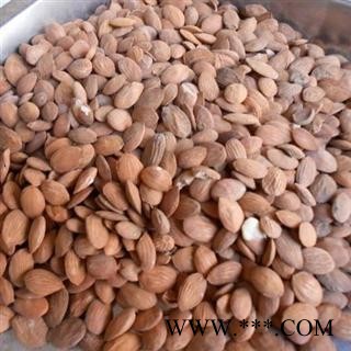 产地直销 一手货源 价格优 桃仁 扁桃仁统货 产地 山东省图3