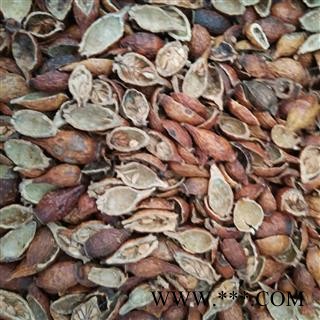 金樱子 金樱子肉  选去仔 产地 江西省图3