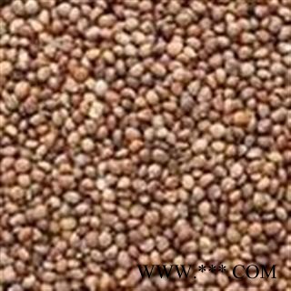 紫苏子 紫苏子净货 产地 山东省图3