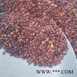 酸枣仁 酸枣仁统货 产地 河北省邢台市图3