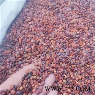 酸枣仁 酸枣仁统货 产地 河北省邢台市图2