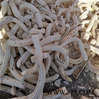 小丽百草行向日葵髓 向日葵花盘图3